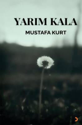 Yarım Kala