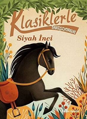 Klasiklerle Tanışıyorum Siyah İnci