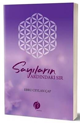 Sayıların Ardındaki Sır