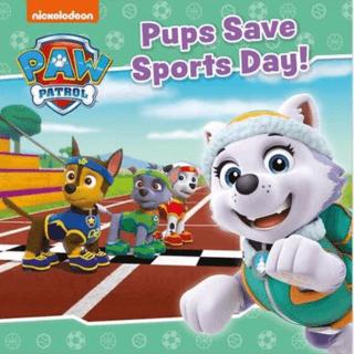 Paw Patrol Pups Save The Royal Throne