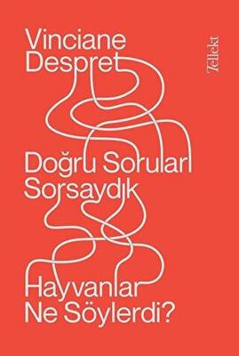 Doğru Soruları Sorsaydık Hayvanlar Ne Söylerdi