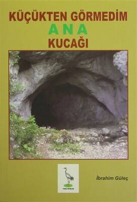 Küçükten Görmedim Ana Kucağı