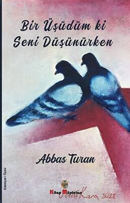 Kitap Sepeti
