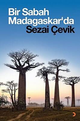 Bir Sabah Madagaskar da