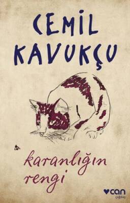 Karanlığın Rengi