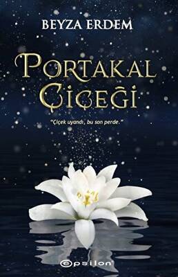 Kitap Sepeti