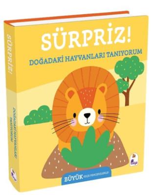 Kitap Sepeti