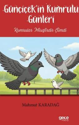Günçiçek in Kumrulu Günleri