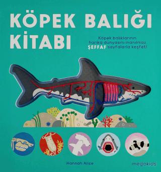 Kitap Sepeti