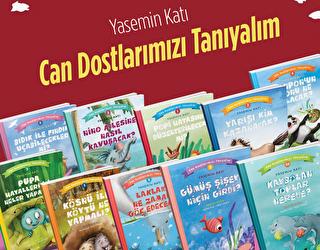 Kitap Sepeti