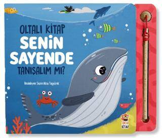 Kitap Sepeti