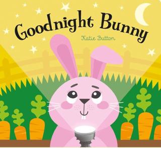 Goodnight Bunny A Magic Torch Book