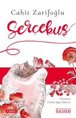 Kitap Sepeti