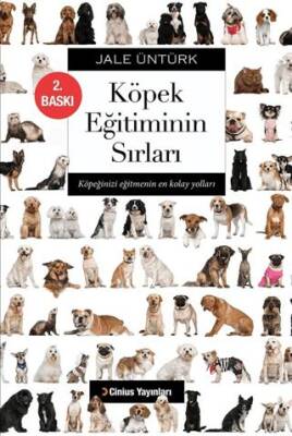 Köpek Eğitiminin Sırları