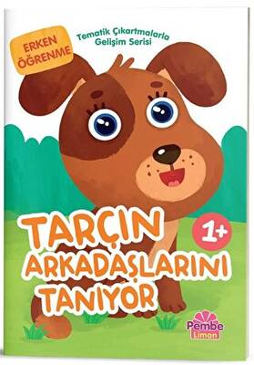 Çakıl Sayıları Öğreniyor