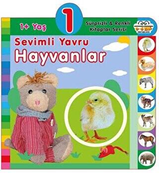 Kitap Sepeti