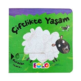 Kitap Sepeti