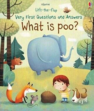 Lift The Flap Questions and Answers About Space