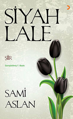 Siyah Lale