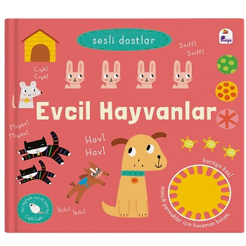 Kita Kitap