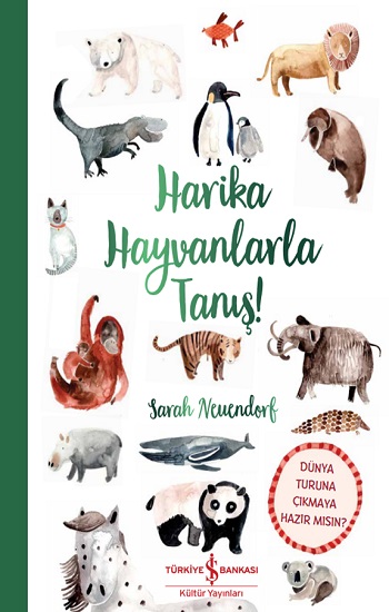 Kita Kitap