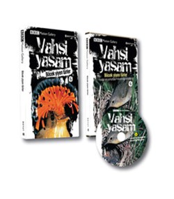 Kita Kitap