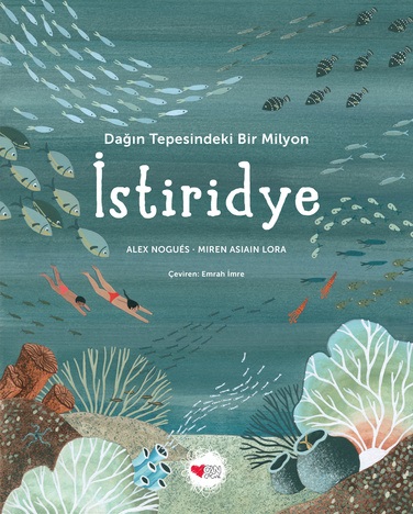 Kita Kitap