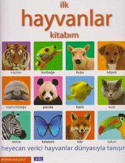 Kita Kitap