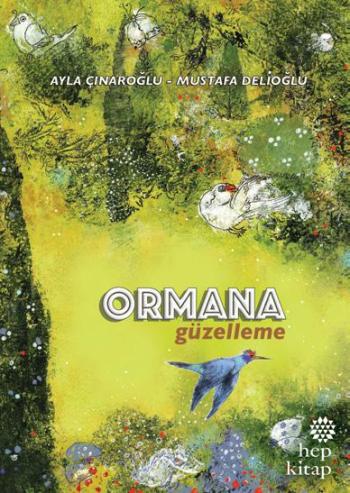 Kita Kitap