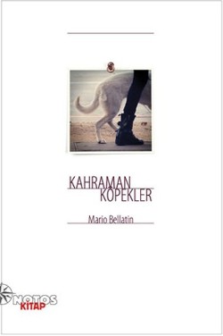 Kita Kitap