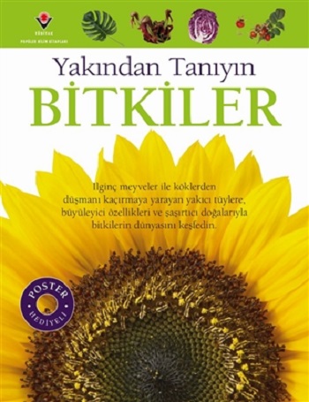 Kita Kitap
