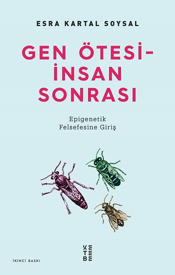 Kita Kitap