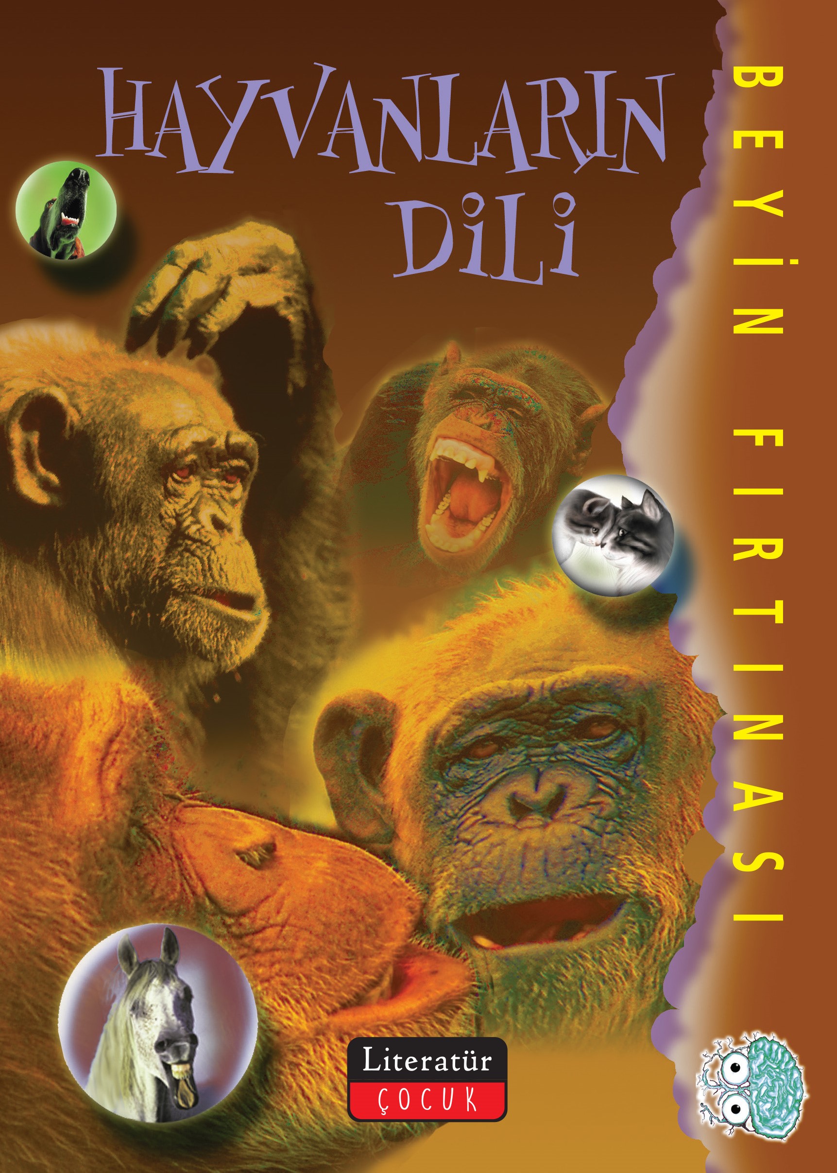 Kita Kitap