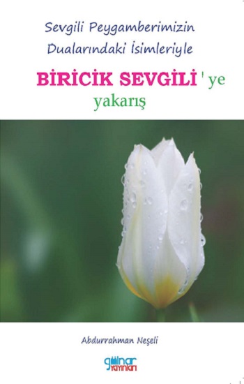 Kita Kitap