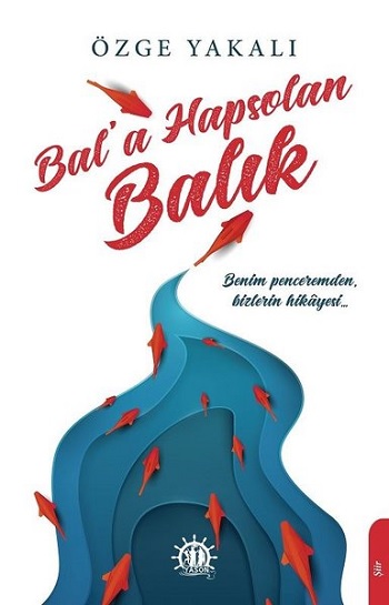 Kita Kitap