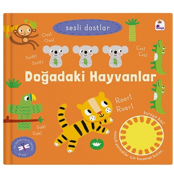 Kita Kitap