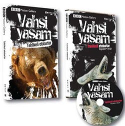 Kita Kitap