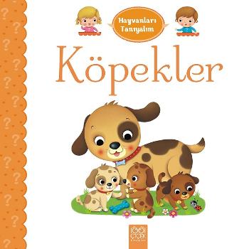 Kita Kitap