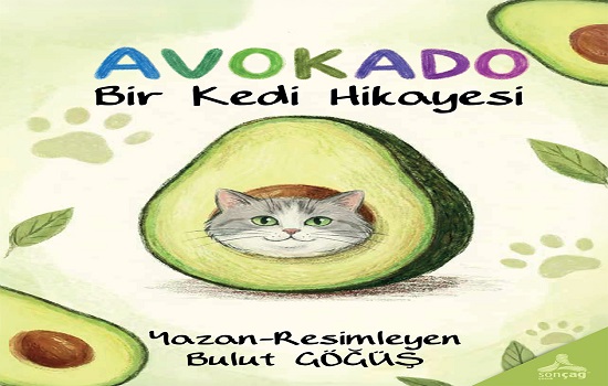 Kita Kitap