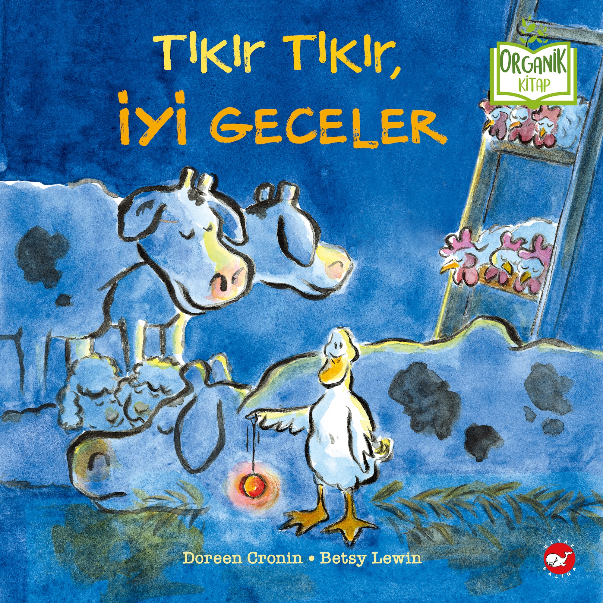 Kita Kitap