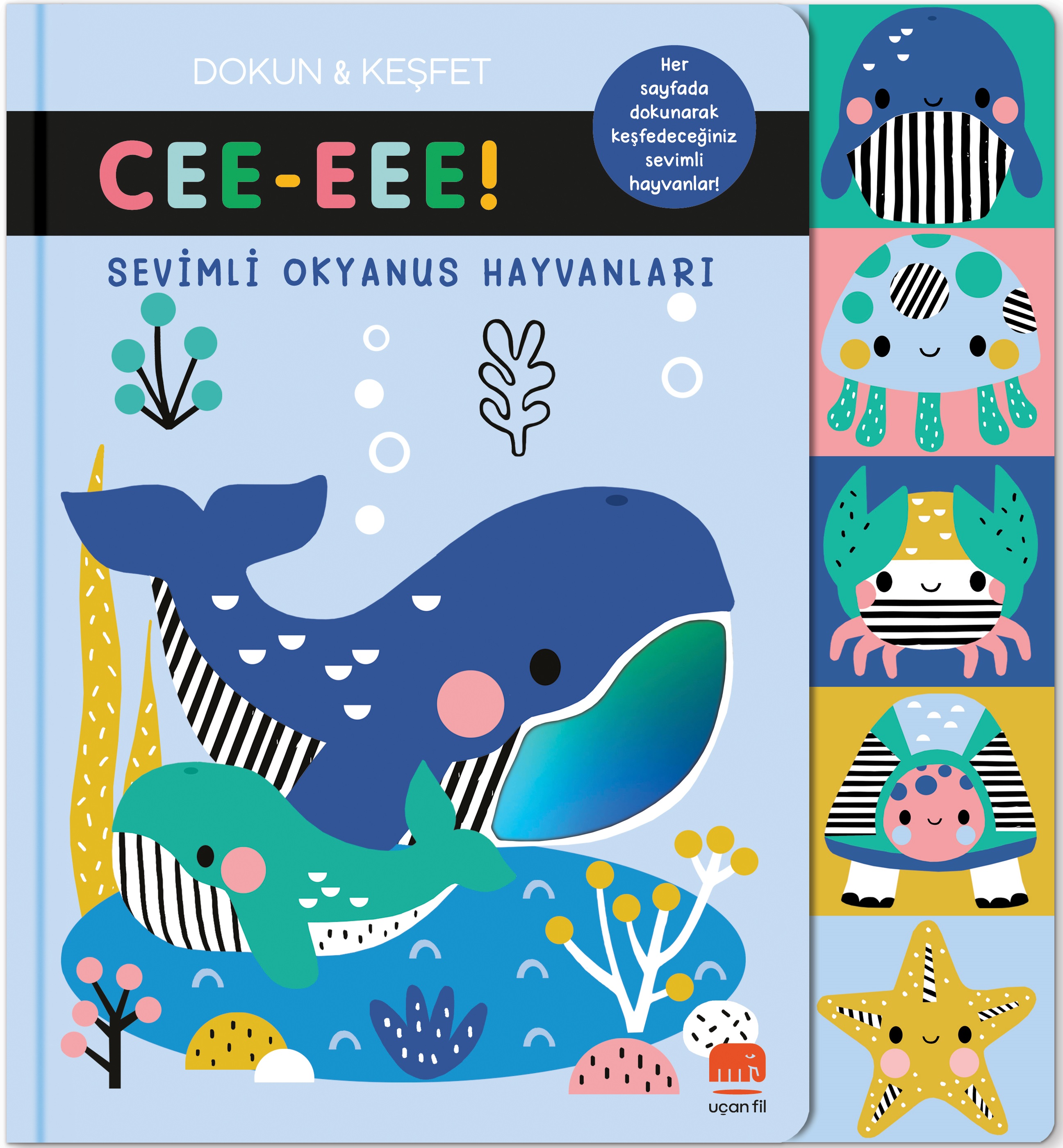 Kita Kitap