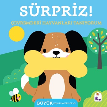 Kita Kitap
