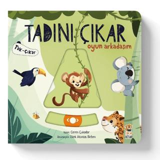 Kita Kitap