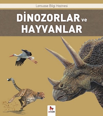 Kita Kitap