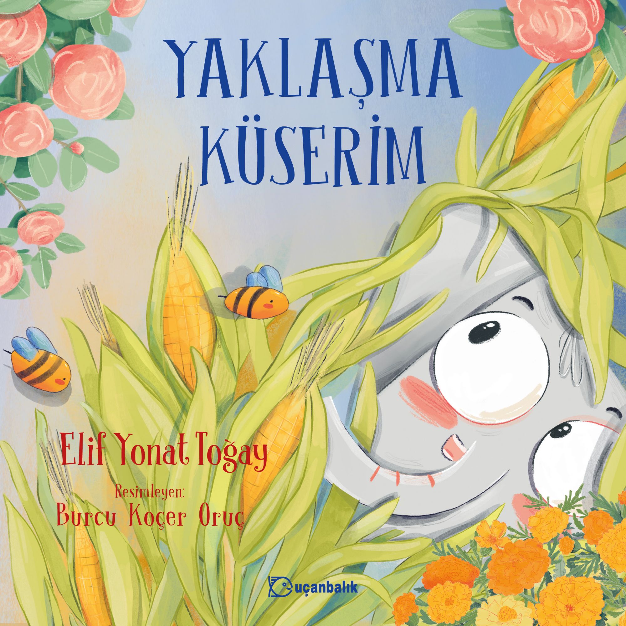 Kita Kitap