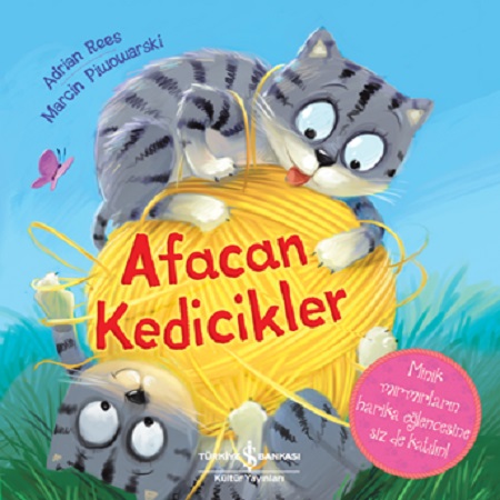 Kita Kitap
