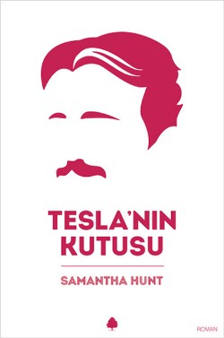 Tesla nın Kutusu