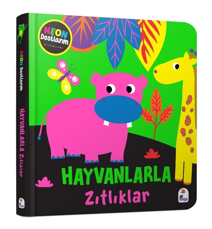Kita Kitap