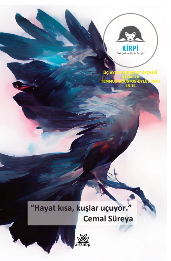 Kirpi 10