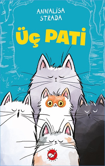 Kita Kitap